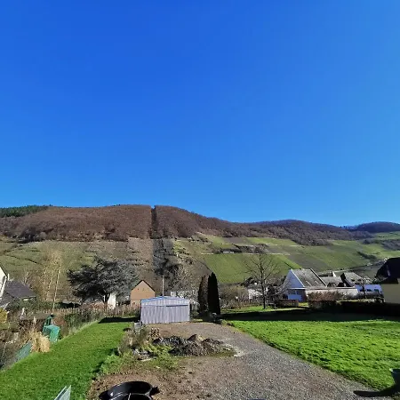 Ferienwohnung Zum Moselfischer Trittenheim Exterior foto