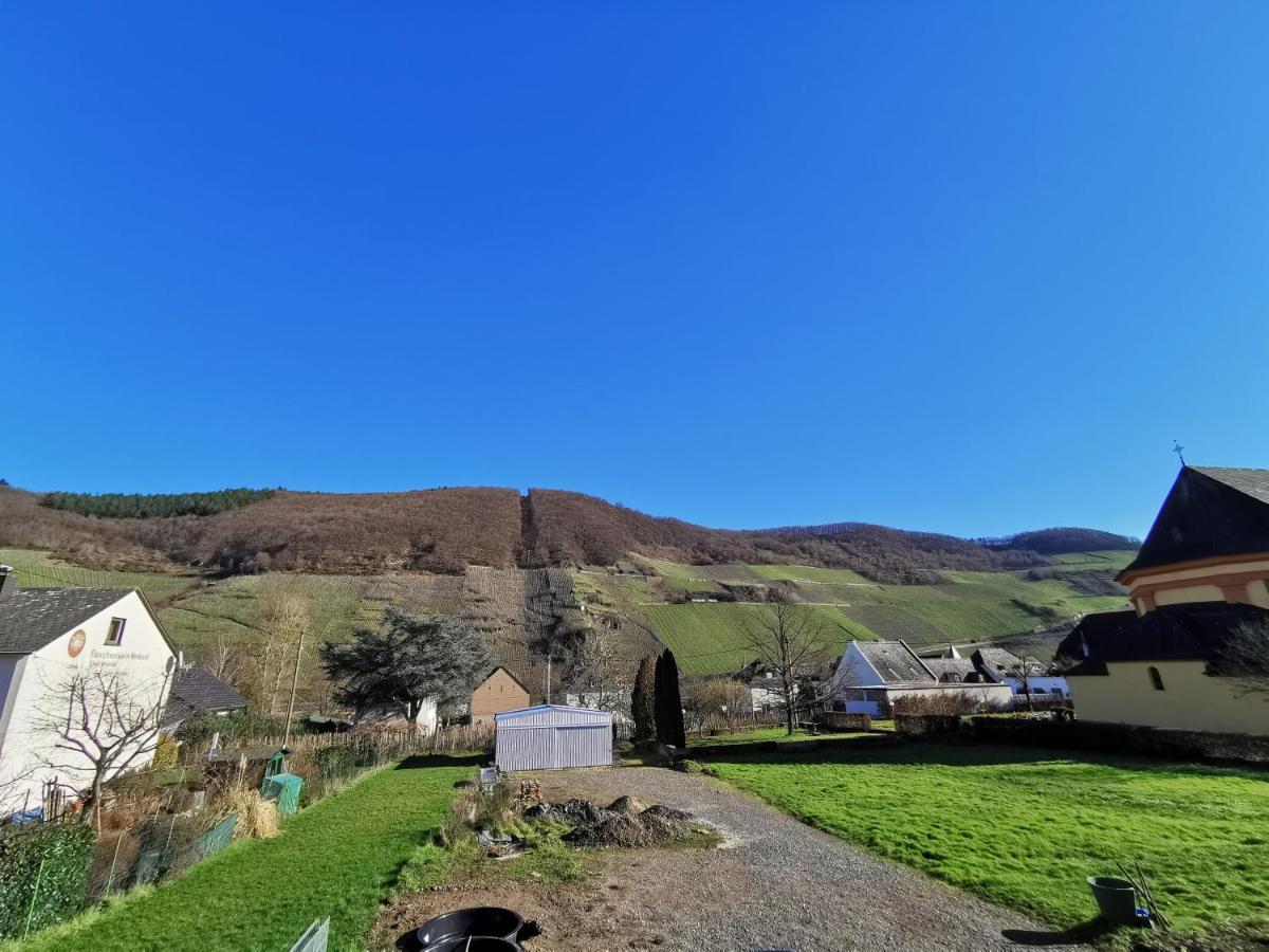 Zum Moselfischer Apartment Trittenheim